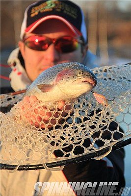 Изображение 1 : Winter trout