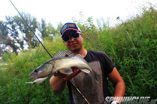 Изображение 1 : Jackall Soul Shad