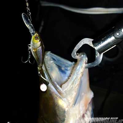 Изображение 1 : Jackall Soul Shad