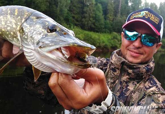 Изображение 1 : Jackall Soul Shad